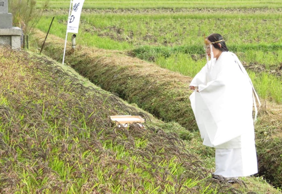 2019年に大嘗祭の儀式に準じて行われた祝詞神事の写真