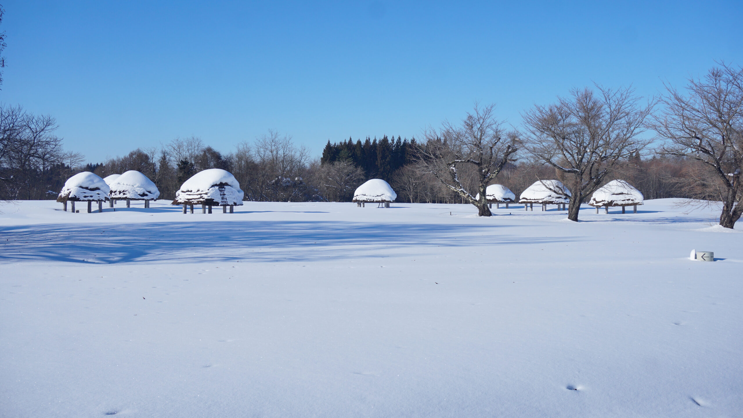 雪の中の大湯環状列石を写した資料写真